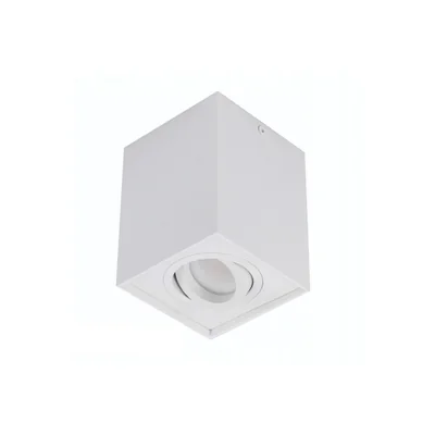 ELOY Lampa sufitowa biała