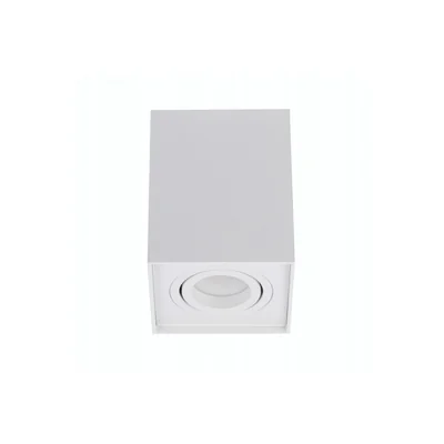 ELOY Lampa sufitowa biała