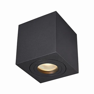 QUARDIP SL Lampa sufitowa czarna