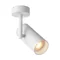 TORI SL 2 Lampa sufitowa biała
