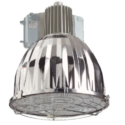 Zasilacz z lampą metalohalogenkową 230V EB 250 M GY